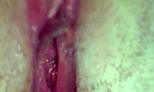 El voyeur captura a adolescentes de 18 años con vaginas apretadas y una masturbación extrema
